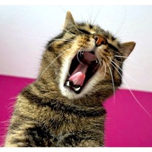 Jewelry making supplies